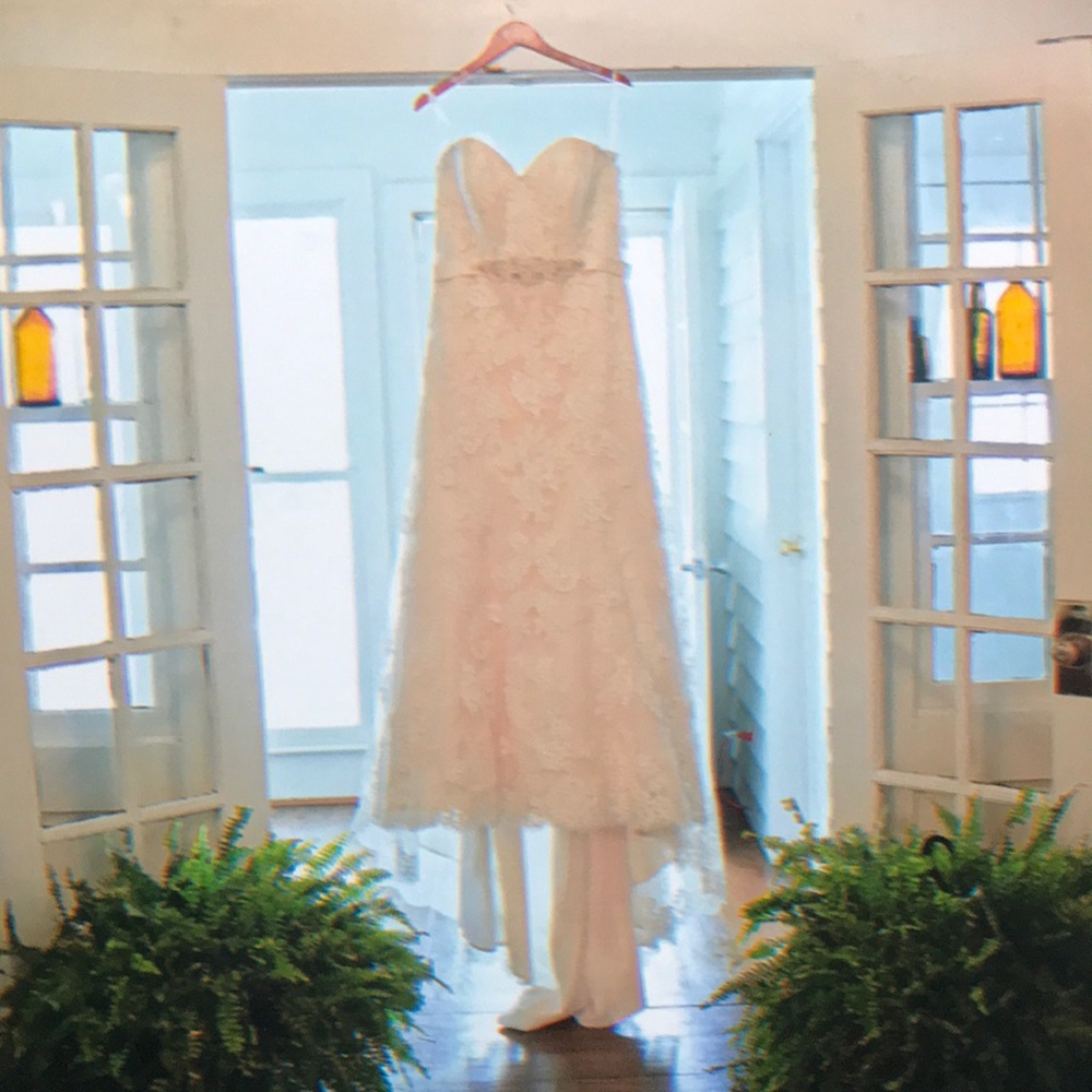 Used wedding dress in perfect condition. Cleaned, pressed, and preserved.